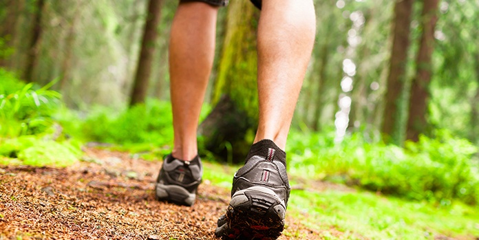 Hiker in the Summer